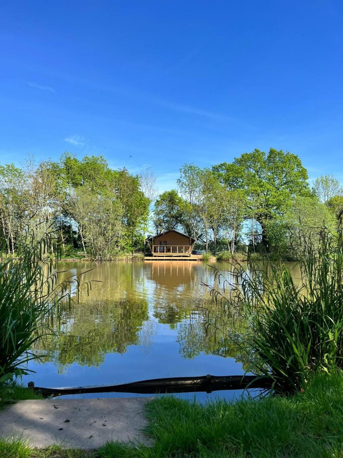Teal Safari Tent Droitwich Eksteriør bilde